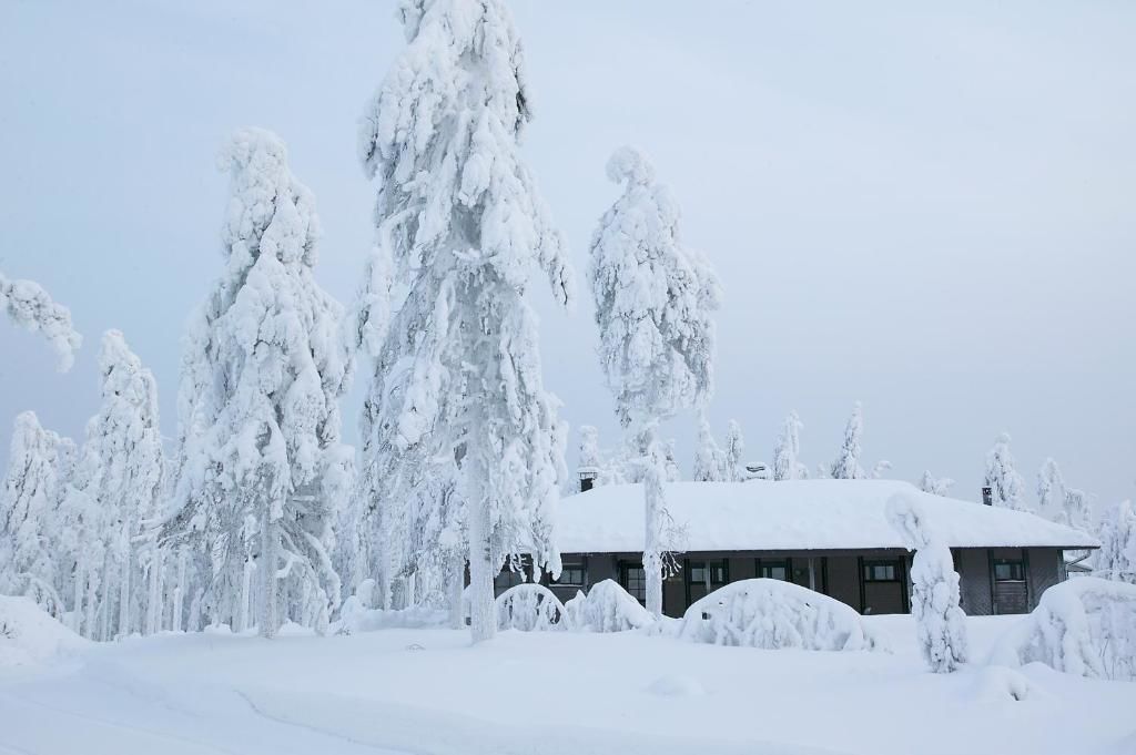 Комплексы для отдыха с коттеджами/бунгало Jättiläisenmaa Paltamo